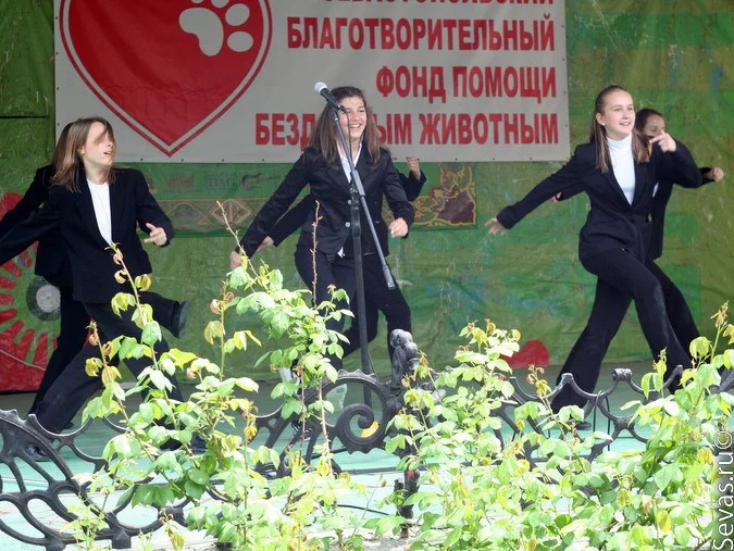 новости Севастополя, благотворительность Севастополь, акция Верный друг, благотворительный концерт Верный друг, защитники животных Севастополь, выставки Севастополь, выставки Севастополя, выставка бездомных животных