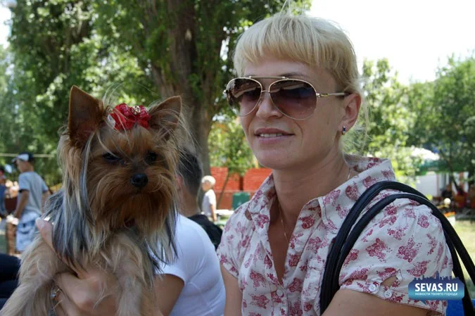 выставки Севастополь, новости Севастополя, севастопольские новости, Международная выставка собак Севастополь, выставка собак Севастополь, выставка собак Балаклавская жемчужина 2012, собаки Севастополь