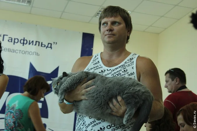 выставки Севастополь, новости Севастополя, выставки Севастополя, выставки кошек Севастополь, кошки Севастополь, выставка кошек Кубок Херсонеса 2012
