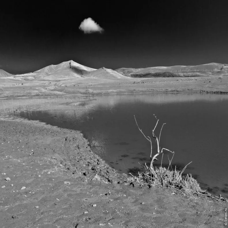 выставки Севастополь, новости Севастополя, выставки Севастополя, фотографы Севастополя, севастопольские фотографы, Севастопольский фотосалон, Фотосреда Севастополь, выставка Монохромная фотосреда, фотовыставки Севастополь