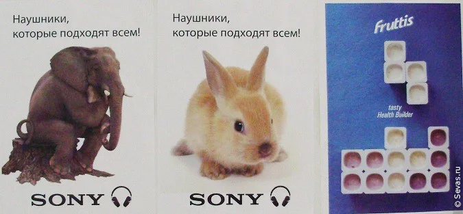 новости Севастополя, фестивали Севастополь, фестивали Севастополя, студенческий фестиваль Севастополь, фестиваль рекламы Севастополь, студенческий фестиваль рекламы Севастополь, фестиваль рекламы СаФаРи