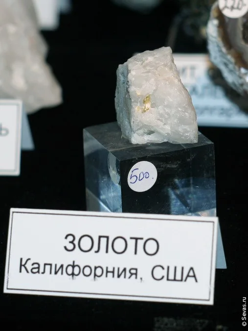выставки Севастополь, новости Севастополя, севастопольские новости, выставки Севастополя, выставка Крым самоцветный, драгоценные камни, полудрагоценные камни, самоцветы Севастополь