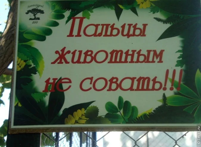 зооуголок Севастополь, новости Севастополь, зоопарки Севастополя