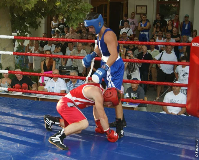 спорт Севастополь, бокс Севастополь, боксеры Севастополя, группа поддержки Севастополь, кровь на ринге Севастополь, кровавый спорт Севастополь