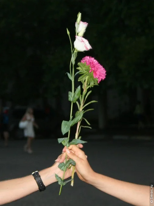 новости Севастополя, флэшмоб Севастополь, флэшмобы Севастополя, флэшмоб Севастополь, благотворительность Севастополь, девушки Севастополя